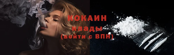 PSILOCYBIN Липки