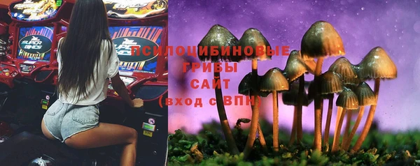 PSILOCYBIN Липки