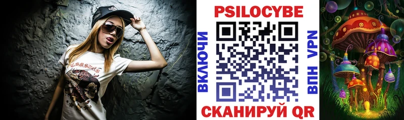 Псилоцибиновые грибы GOLDEN TEACHER  omg ссылка  Димитровград 